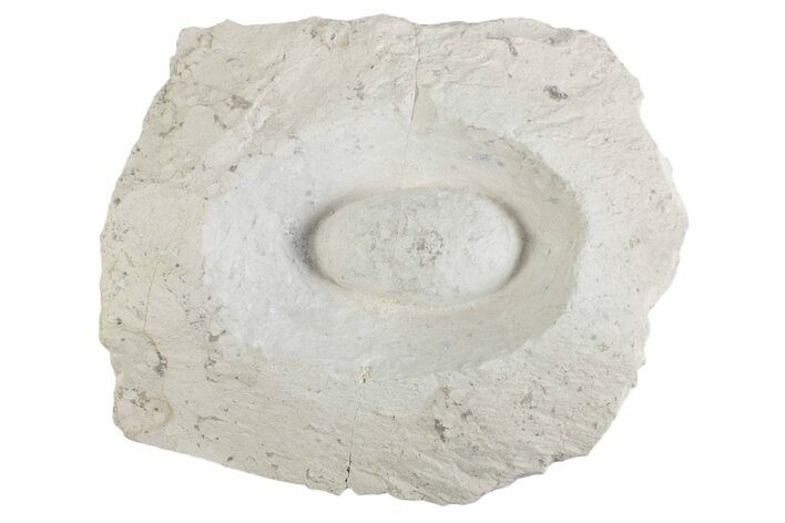 Eocene Fossil Crocodile Egg - Bouxwiller, France #366877